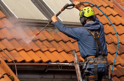 Démoussage et hydrofuge de toiture à Many